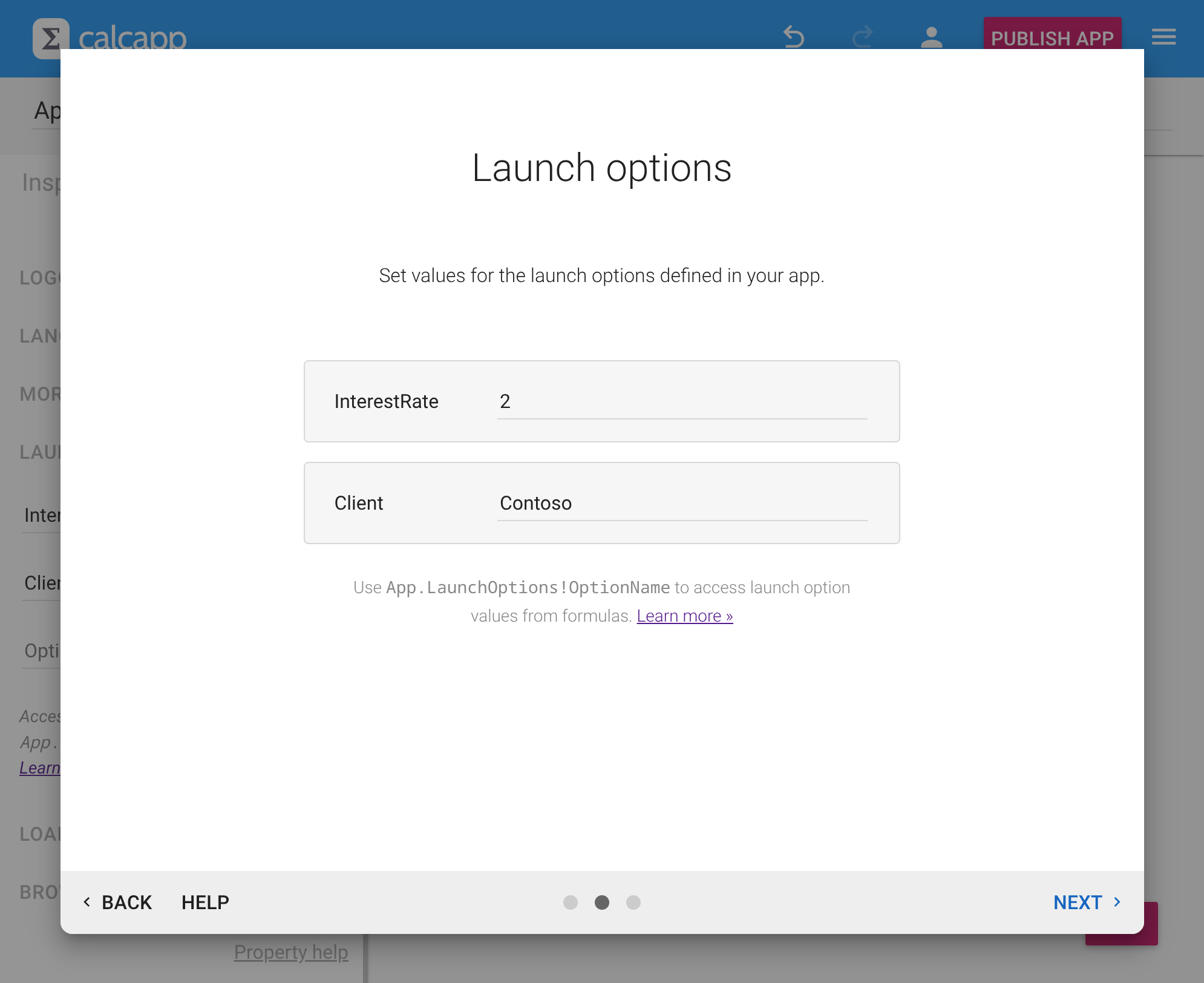 Setting launch option values when publishing